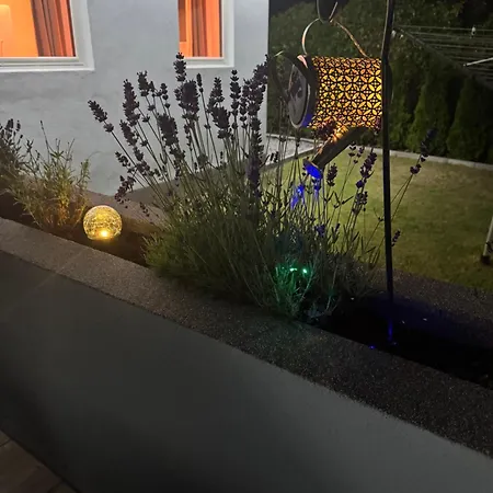 Garden *